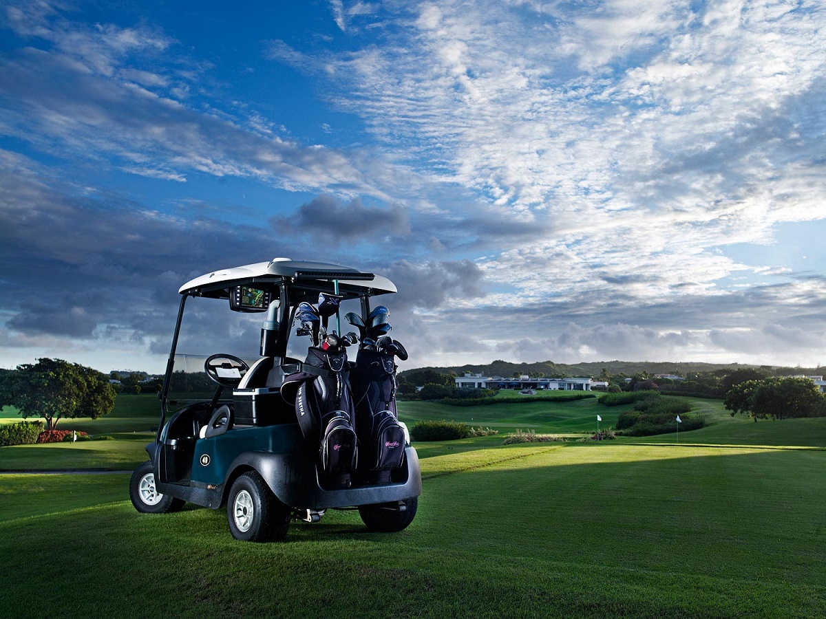 Hayabusa Golf Cart